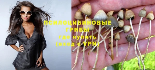 PSILOCYBIN Карталы