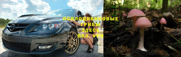 PSILOCYBIN Карталы