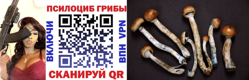 Псилоцибиновые грибы MAGIC MUSHROOMS  Цимлянск 